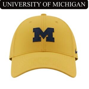 🐺 M: University of Michigan Wolverines Jordan Brand On-Field Baseball Ha…